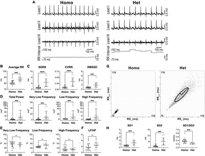 Heart Rate Variability Reveals Altered Autonomic Regulation in Response to Myocardial Infarction in Experimental Animals